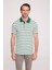 Erkek Yeşil Polo Yaka Çizgili TShirt 3