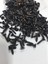 SUNTA VİDASI 3X13 MM 100 ADET SİYAH 1