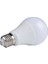LED Ampul 10 W Beyaz Işık Normal Duy 10 Adet 1