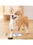 Köpek Iletişimi Pet Cihazı (Yurt Dışından) 3