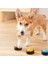 Köpek Iletişimi Pet Cihazı (Yurt Dışından) 4