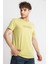 Erkek/ Baskılı O-Yaka T-Shirt Girasol - Açık Haki 2