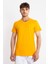Erkek/ V-Yaka T-Shirt Veralpes - Koyu Sarı 1