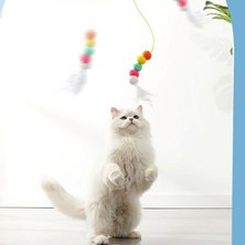 Omilife Yapışkanlı  Kedi Oyun Oltası Eğitici Kedi Oyuncağı