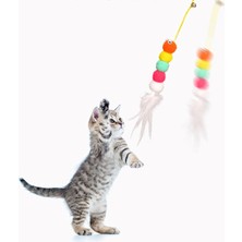 Omilife Yapışkanlı  Kedi Oyun Oltası Eğitici Kedi Oyuncağı