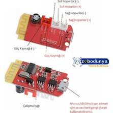 Hubstein CT14 Bluetooth Amfi Devresi 5V 2X5W Şarj Edilebilir Amfi Modülü