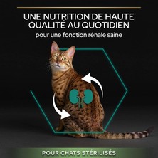 Purina Pro Plan Renal Plus Kısırlaştırılmış Somonlu Kuru Kedi Maması 10 kg