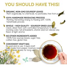 Fresh Drink Us 230+ Premium Soursop Graviola Dried Leaves, 230-250 Pure Leaves, Organic, Non Gmo, 100% Natural, Whole Leaves, Wildcrafted, Graviola, Soursop, Hoja Guanabana, Soursop Loose Leaf Herbal Tea