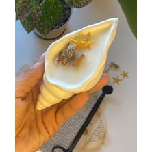 Yeyu Candles Deniz Kabuğu Mum Paketli