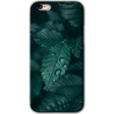Gramaphone Apple iPhone 6s Plus Kılıf Hd Desen Baskılı Arka Kapak + Kırılmaz Cam - Yağmurlu Yaprak