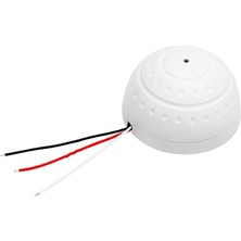 Powermaster AD-AU10 Dome Tip Kamera Mikrofonu (9V-12VDC**5M2-150M2)