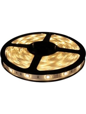 Global K2 KCL005 4040 Günışığı 3 Çipli 60 Ledli Silikonsuz Iç Mekan Şerit LED ( 5 mt )
