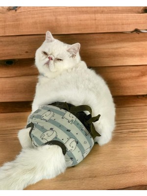 Kemique My Elephant Kemique's Secret Kedi Iç Çamaşırı  Regl Külot  Don