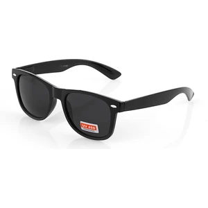 Wayfarer Model Erkek Güneş Gözlüğü PL19JN320R005
