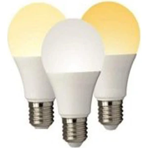 3 Devreli 10 W LED Ampul 1 Adet