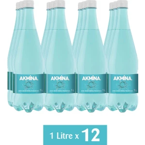 Doğal Maden Suyu 12X1 Lt