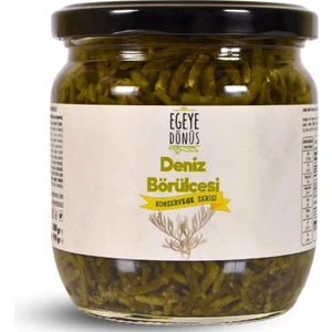 Egeye Dönüş Deniz Börülcesi Konserve-(Meze ve Salata Için Yemeğe Hazır Deniz Yosunu Ege Otları KAVANOZ)-380 Gr.