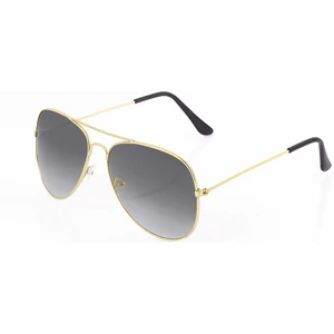 Pilot Model Unisex Güneş Gözlüğü PL21UG008R002