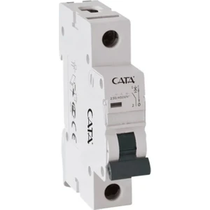 2 Amper Otomat CT-9181