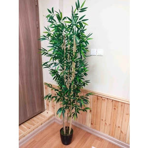 Cennet Home Lüks Bambu Ağacı 5 Gövdeli Yoğun Yapraklı Siyah Saksılı