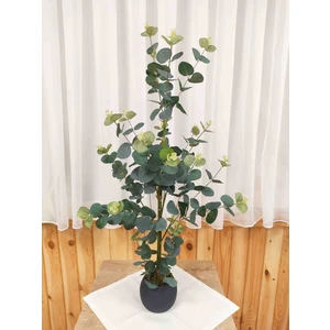 Cennet Home Lüks Okaliptüs Ağacı 75CM Doğal Görünümlü Plastik Mercan Saksıda
