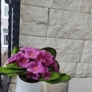 Cennet Home Doğal Dokulu Menekşe Beyaz Saksıda Yapay Çiçek