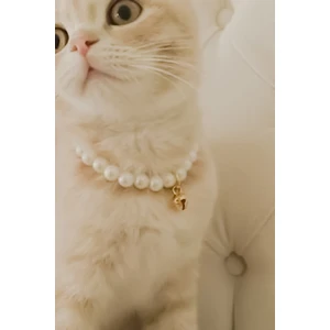 Inci Kedi Kolyesi Zilli Kedi Tasması