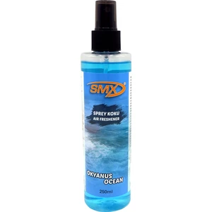 Okyanus Oto Kokusu 250ML