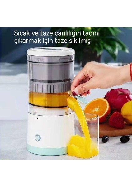 Ev Küçük Taşınabilir Meyve Suyu Ayırıcı (Yurt Dışından)