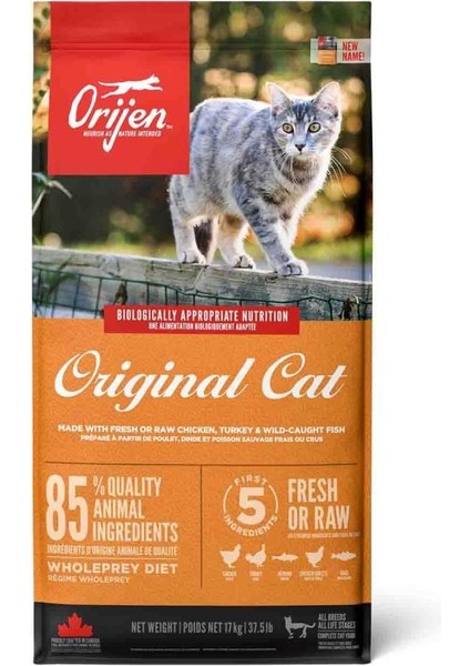 Cat Kitten Tahilsiz Yavru ve Yetişkin Kedi Mamasi 17 kg