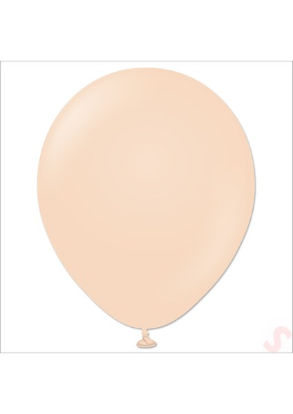 Somon Pastel Balon, 30CM x 10 Adet