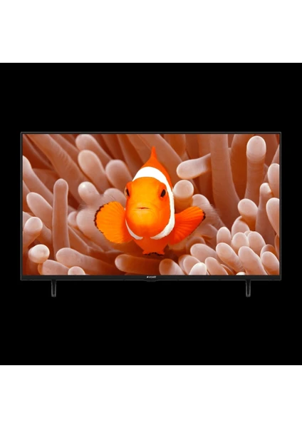 6 Serisi A32 D 695 B 32" 82 Ekran Uydu Alıcılı HD Android Smart LED TV