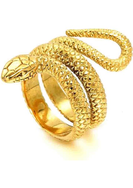Erkek Vintage Titanyum Çelik Yüzük Kişilik Yılan Python Titanyum Çelik Yüzük (Yurt Dışından)