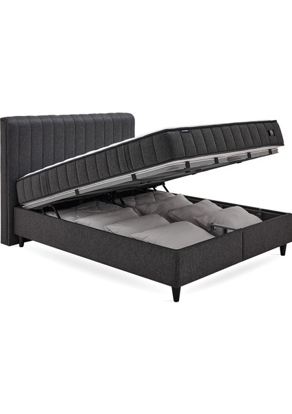 Bedding Ionic Energy Pro Yatak, Lento Baza, Somni Başlık 3'lü Set - Siyah
