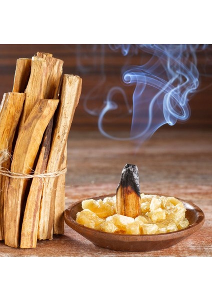 Palo Santo Doğal Ağaç Tütsü 100 Gram Sertifikalı indirimleri