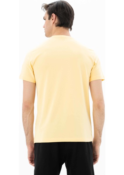 Erkek Slim Fit Bisiklet Yaka Tişört Y25344452201
