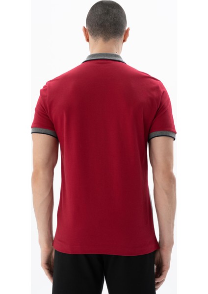 Erkek Regular Fit Polo Yaka Tişört Y25374304601