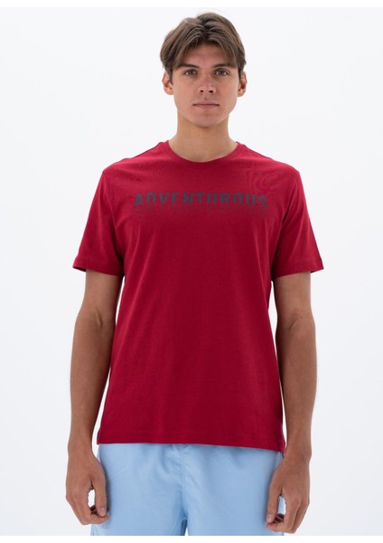 Erkek Regular Fit Bisiklet Yaka Tişört Y25344404401