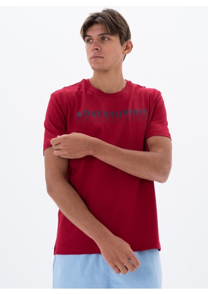 Erkek Regular Fit Bisiklet Yaka Tişört Y25344404401 fırsatları