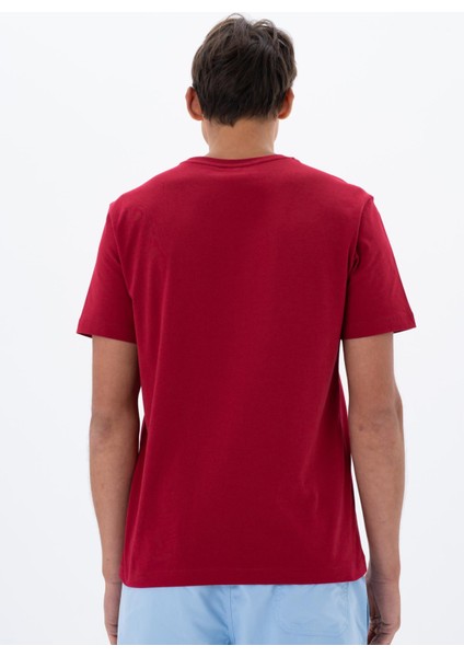 Erkek Regular Fit Bisiklet Yaka Tişört Y25344404401