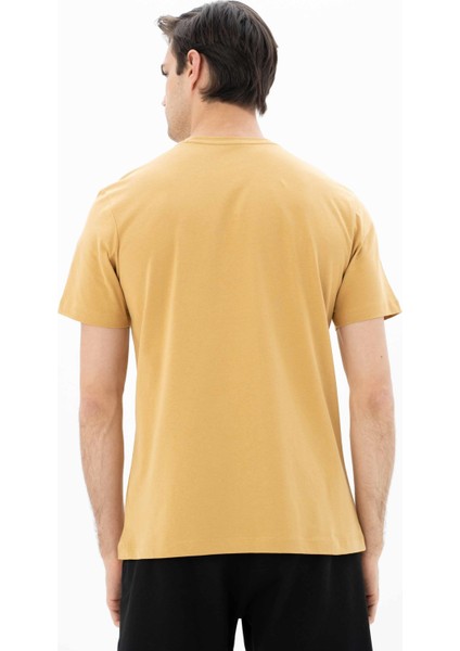 Erkek Regular Fit Bisiklet Yaka Tişört Y25344404901