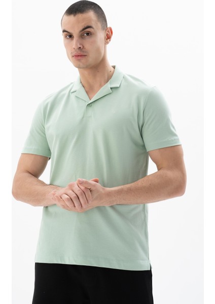 Erkek Regular Fit Polo Yaka Tişört Y25374305001 indirimleri