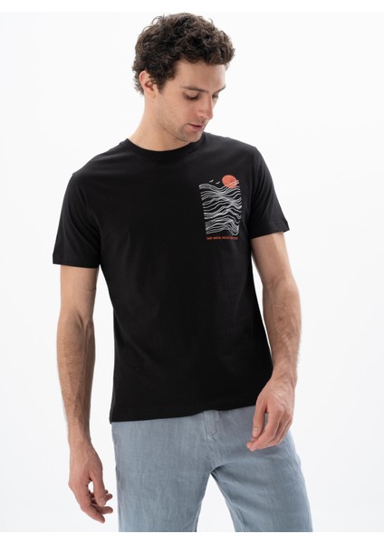 Erkek Regular Fit Bisiklet Yaka Tişört Y25344405201 fırsatları