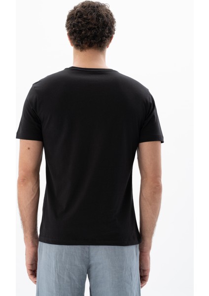 Erkek Regular Fit Bisiklet Yaka Tişört Y25344405201