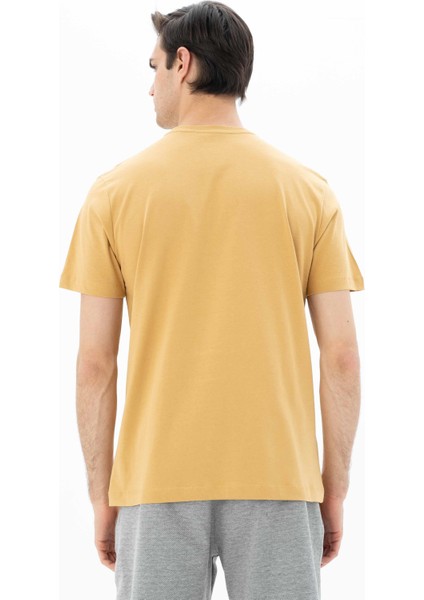 Erkek Regular Fit Bisiklet Yaka Tişört Y25344404501