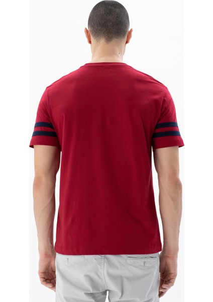 Erkek Regular Fit Bisiklet Yaka Tişört Y25344405801