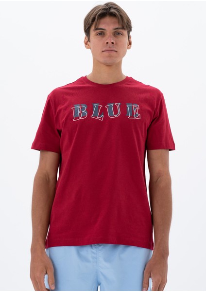 Erkek Regular Fit Bisiklet Yaka Tişört Y25344405901