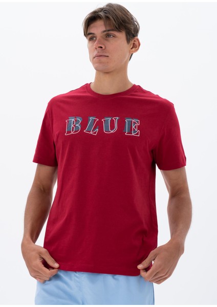 Erkek Regular Fit Bisiklet Yaka Tişört Y25344405901 modelleri