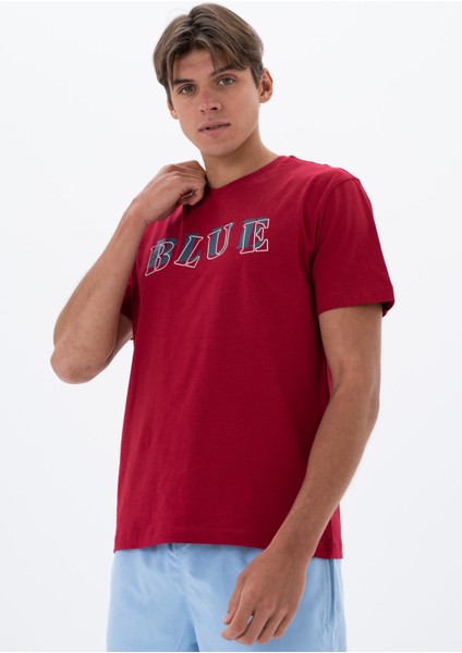 Erkek Regular Fit Bisiklet Yaka Tişört Y25344405901 fırsatları