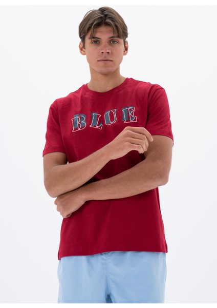 Erkek Regular Fit Bisiklet Yaka Tişört Y25344405901 indirimleri